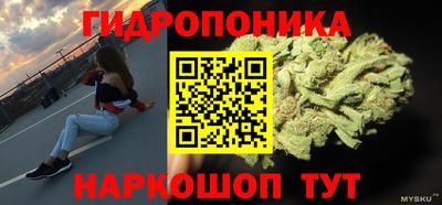 индика Северобайкальск