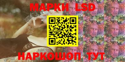 apvp Свободный