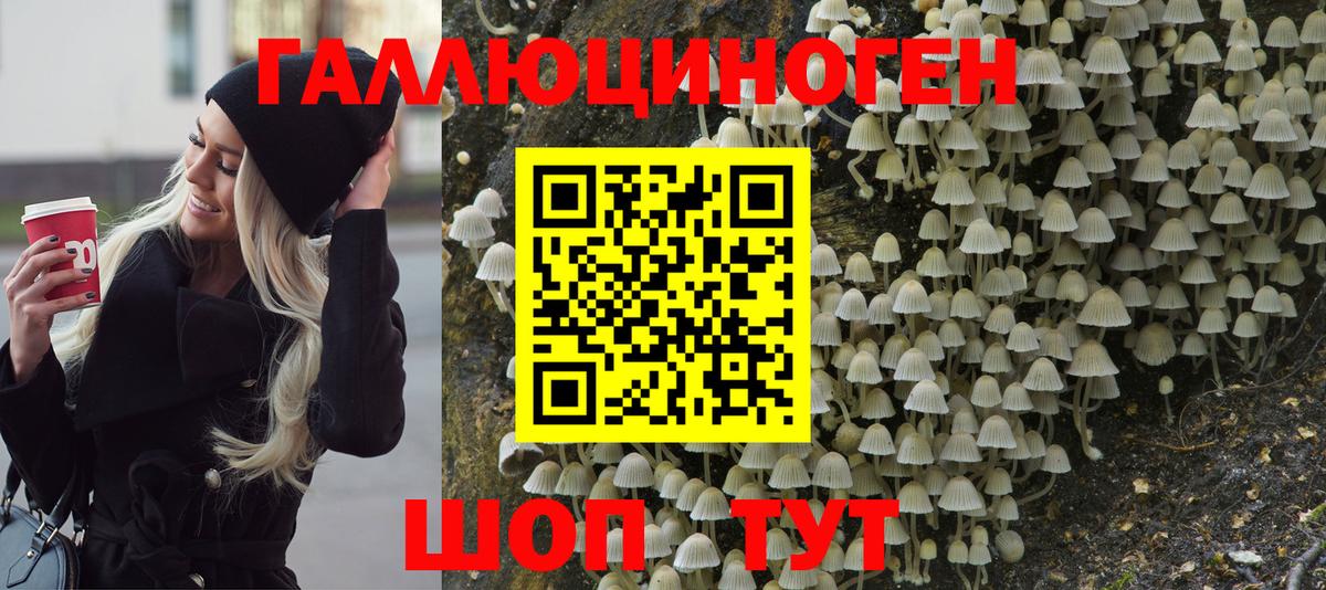 магазин продажи наркотиков  Вход с VPN  Ревда  Псилоцибиновые грибы GOLDEN TEACHER 