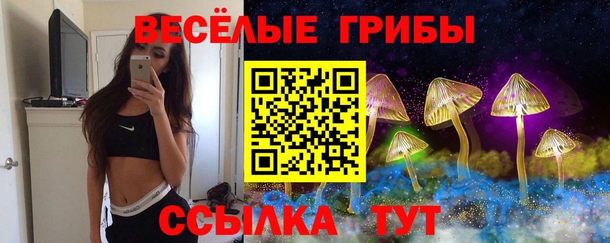 Галлюциногенные грибы Cubensis Ревда